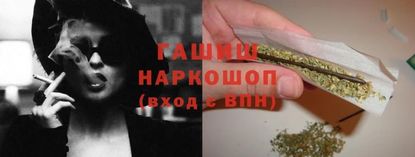 стаф Белокуриха
