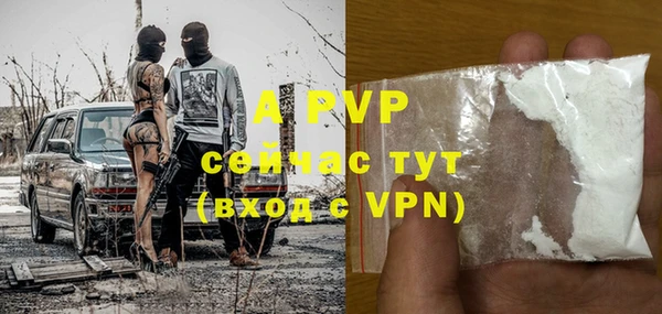 стаф Белокуриха