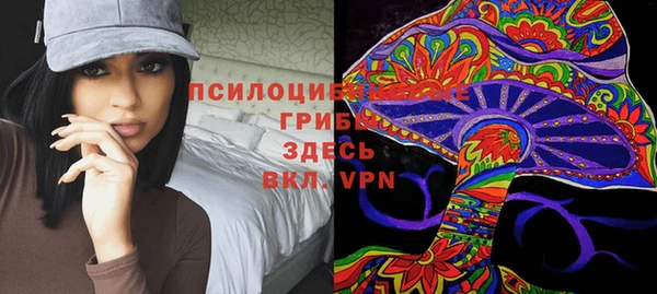 стаф Белокуриха